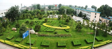 鋼好40年 安鋼勇立潮頭唱大風(fēng)