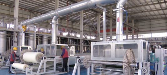 奮進|泰興:驅(qū)動經(jīng)濟向&ldquo;綠&rdquo;而行 打造綠色環(huán)保產(chǎn)業(yè)集群